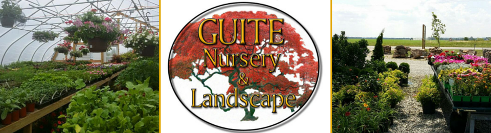 Guite Nursery & Landscape